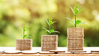 Photo by nattanan23 MindViewMagazinecom money profit finance business return yield financial cash currency investment banking wealth coin economy success loan salary rich credit payment savings save deposit growth income